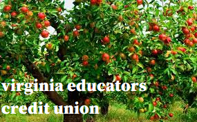 virginia educators credit union